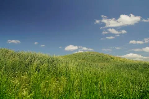 Hills Фото