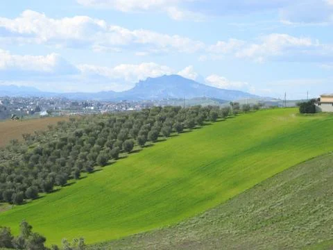 Hills Stock Photos