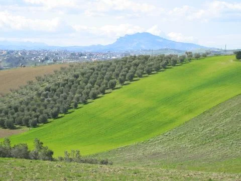 Hills Stock Photos