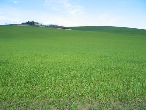 Hills Stock Photos
