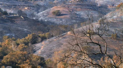 Hills scorched from fire Stock Footage 419298