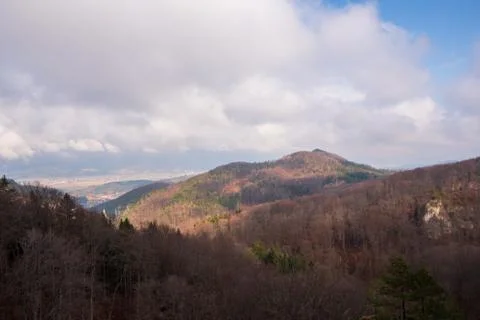Hills with trees which have fallen leaves in autumn with beautiful sky, Slova Stock Photos