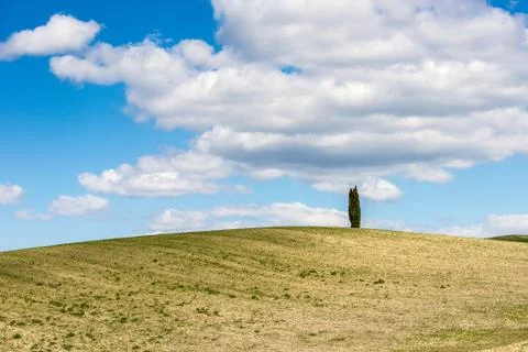 Hills of Tuscany Stock-Fotos