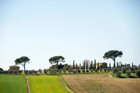 Hills of Tuscany Stock Photos