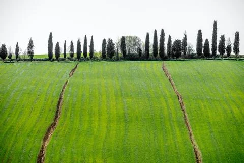 Hills of Tuscany Stock Photos