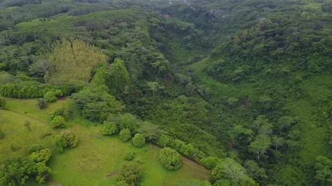 Hills in the Woods Stock Footage 147937363