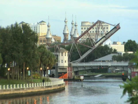 Hillsborough River Stock Footage 285936