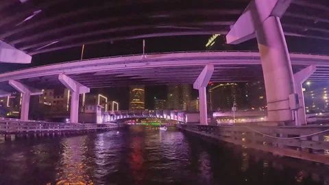 Hillsborough River at Night 스톡 동영상 201686587