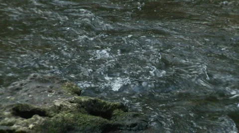 Hillsborough River Rapids Close Stock Footage 533116