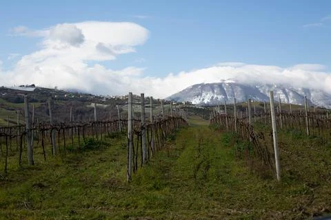 Hillscape in Abruzzo Stock Photos