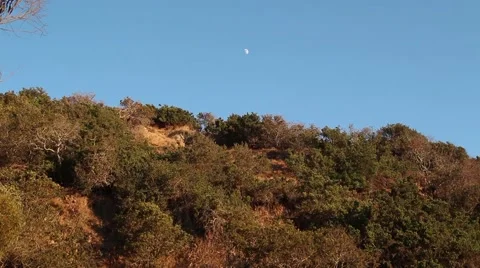 Hillside and moon Stock Footage 67639011