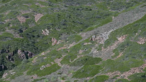 Hillside and stones Stock Footage 220996898