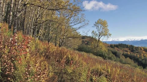 Hillside in Autumn 1 - static Stock Footage 8802178