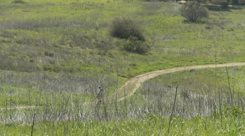 Hillside Biking Stock Footage 34573770