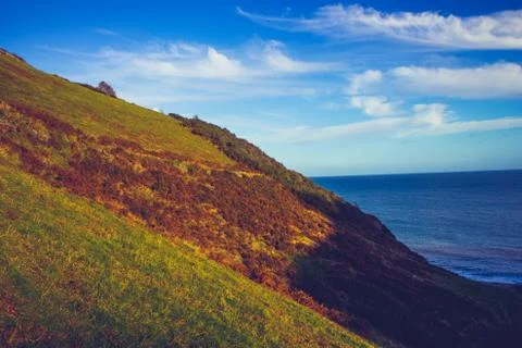 Hillside by the coast Photos