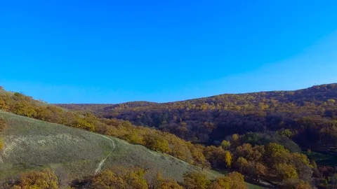 The hillside is covered with forest Video stock 99744177