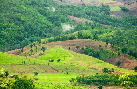 Hillside field Foto stock