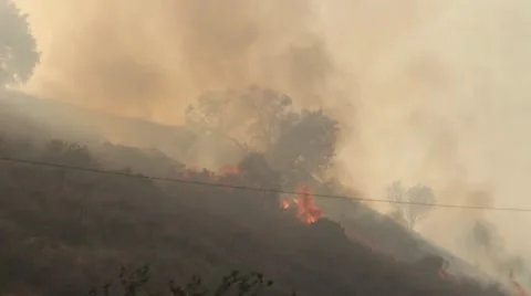 Hillside fire Stock Footage 49560355
