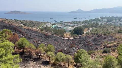 Hillside Fire Turkey Aftermath Stock Footage 248471993