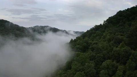 Hillside Fog Video stock 143439121