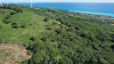 Hillside forest overlooking a coastal town, aerial view Stock Footage 278372689