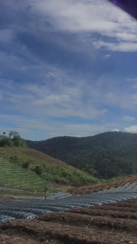 Hillside garden 스톡 동영상 209797787