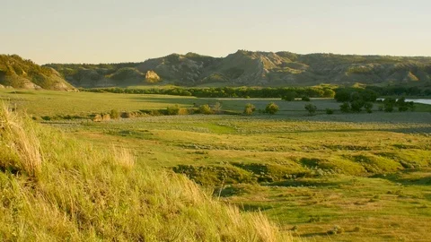 Hillside grass blows in evening western wind Stock Footage 83692611
