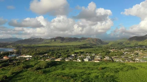 Hillside homes and green fields on the south shore of Kauai 库存影片 96046230