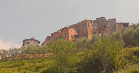 Hillside Homes and Olive Trees in Perinaldo, Italy Stock Footage 346439560