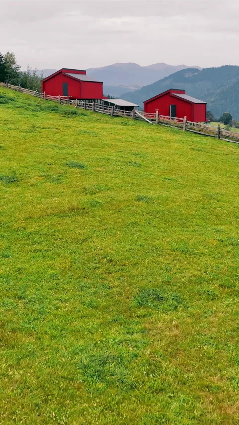 Hillside Landscape with two Red Chalet and Wooden Fence. A sprawling green Stock Footage 310552554