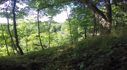 Hillside looking down on sunny breezy summer day Stock Footage 53837629