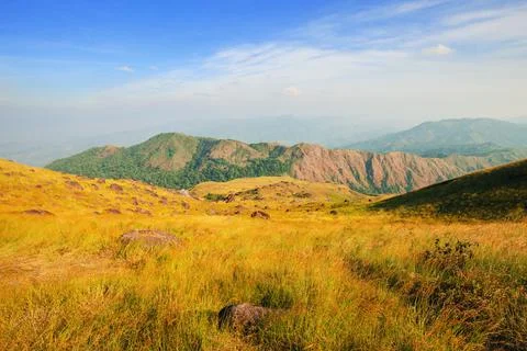 Hillside meadow In the evening 스톡 사진