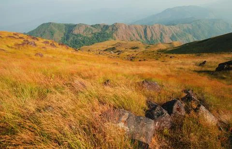 Hillside meadow In the evening Foto stock