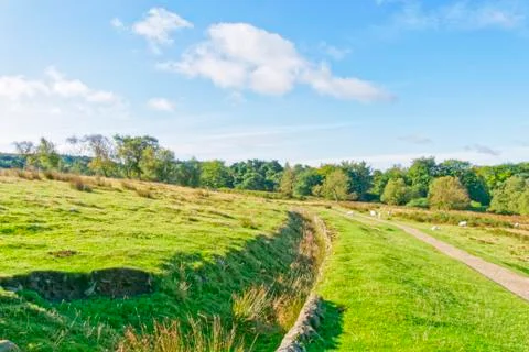 Hillside meadow Stock Photos