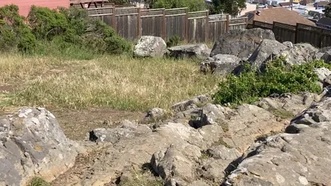 Hillside Mini Park With Rocks, Bushes, And Grass 스톡 동영상 198049853