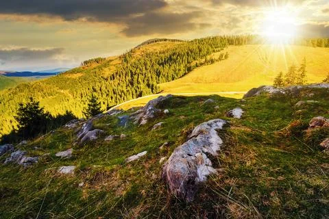 Hillside of mountain range with coniferous forest and meadow in autumn at s.. Stock Photos
