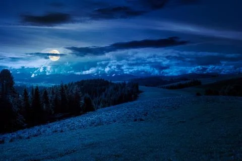 Hillside of mountain range with coniferous forest and meadow at night Stock Photos