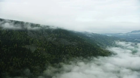 Hillside in Norway Stock Footage 81442155