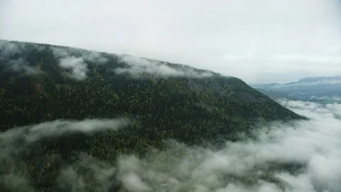 Hillside in Norway Stock Footage 81442296