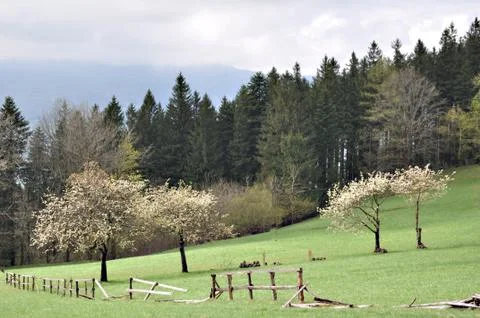 Hillside Stock Photos