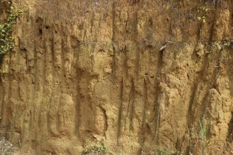 Hillside Stock Photos