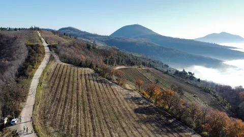 Hillside 스톡 사진