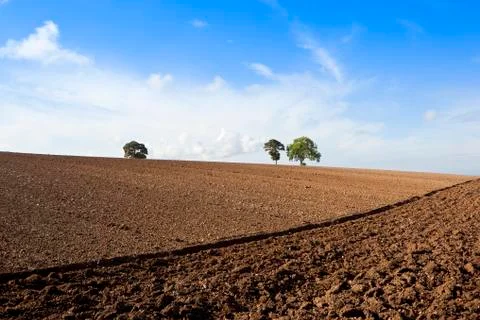 Hillside plowed field Foto stock