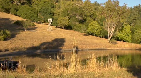 Hillside Pond Stock Footage 36840013
