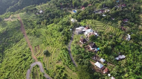 Hillside road flyover Stock Footage 329896552