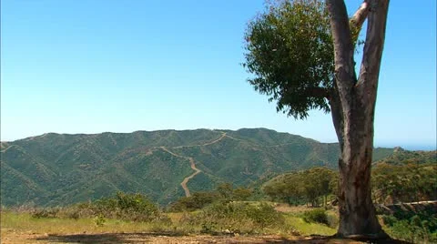 Hillside Road 스톡 동영상 22209187