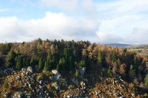 Hillside with rocks and forest. A typical Irish landscape. Stock Photos