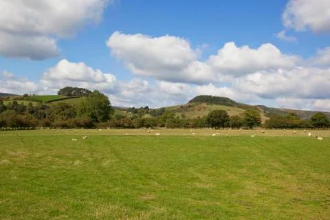 Hillside scenery Stock Photos