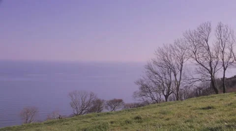 Hillside with sea in the distance 動画素材 48897137