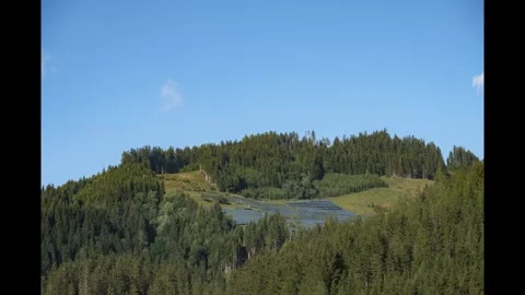 Hillside Solar Panel Installation Amidst Lush Greenery Stock Footage 303864458